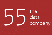 55Data 招聘高级咨询经理-DigiMax