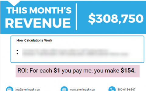 5个技巧帮你在客户的ROI上体现SEO的重要性-DigiMax