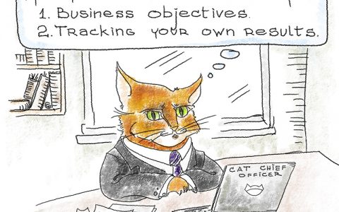 确保提升营销效果的6个绝技,也许你听过但是你没用好-DigiMax