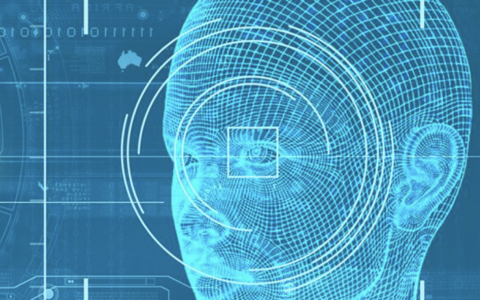 干货 | 从底层到应用,那些数据人的必备技能-DigiMax