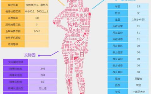 让机器读懂用户--大数据中的用户画像-DigiMax