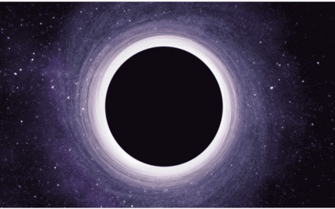 爆款 | Medium上6900个赞的AI学习路线图，让你快速上手机器学习-DigiMax