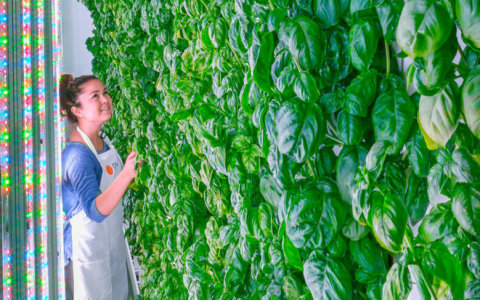 9家发展AI技术的农业科技创业公司-DigiMax