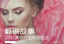 重磅报告|洞察300+品牌，奉上2017年度美妆行业终极盘点-DigiMax