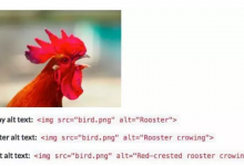 15个常见的网站SEO问题及解决方案-DigiMax