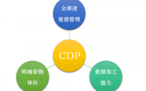 【iCDO专访】数据掌门人王琤:关于CDP的那些事儿-DigiMax