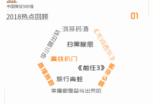 2018年中国微信500强年报-DigiMax