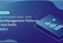 刚刚起步，中国的数据管理平台就已在全球有了一席之地-DigiMax