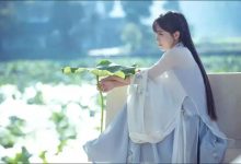 李子柒经济学:全网8000万粉丝,顶流的变现之路-DigiMax