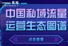 2020年中国私域流量运营生态图谱-DigiMax