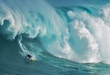 “新消费巨浪”第二弹:别误读,高性价比只是层皮儿,内核是……-DigiMax