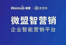 视频 | 3分钟了解微盟智营销-DigiMax