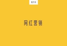 网红，成为营销主战场-DigiMax