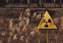 Low到新境界，拼多多的传奇公关案例！-DigiMax