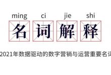 数据驱动的数字营销与运营重要名词术语词表与解释（2021年版）-DigiMax