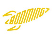 Booming｜数据分析相关｜上海-DigiMax