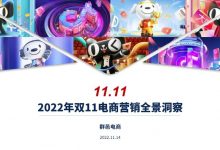 【优质报告推荐】电商放缓下的双十一还有什么机会？附案例剖析-DigiMax