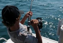 “磁力钓鱼”风靡TikTok，亚马逊相关产品暴增115%-DigiMax