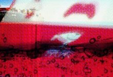 京东出海失败，被阿里和拼多多越甩越远?-DigiMax