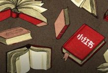 大厂都在学小红书，为何小红书成不了大厂？-DigiMax